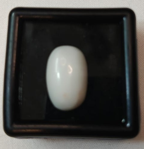 Coral White (Italian)