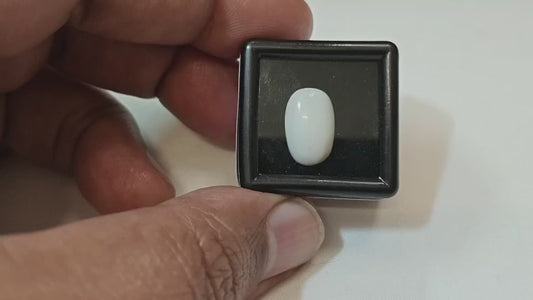 Coral White (Italian)